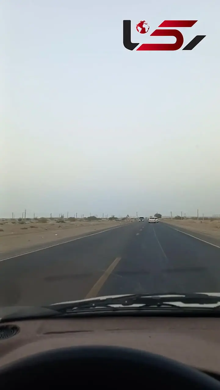 شترهای رهاشده و خودروهای سوخت‌بری‌؛ معضلی دوگانه در جاده‌های هرمزگان/ رسانه چند مرتبه دیگر باید بگویند تا کاری شود؟  + فیلم 