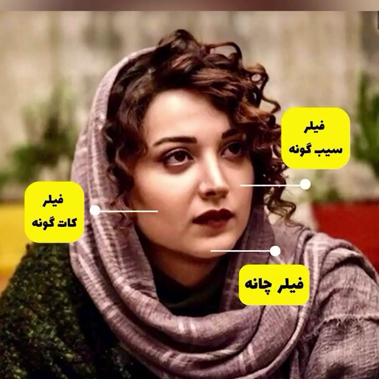 تغییر چهره روشنک گرامی از 20 سالگی تا 47 سالگی / خانم بازیگری کخ در آستانه 50 سالگی هنوز 20 ساله به نظر می رسد!