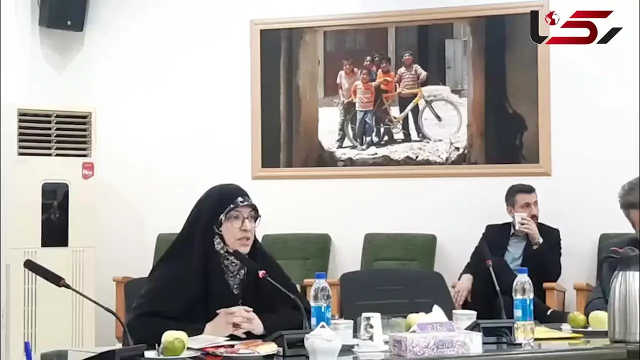 انتقاد رئیس شورای فرهنگی به گفتمان جهانی هویت جنسیتی کودکان: «امروز می‌گوید دخترم، فردا می‌گوید درخت یا سگم!» + فیلم