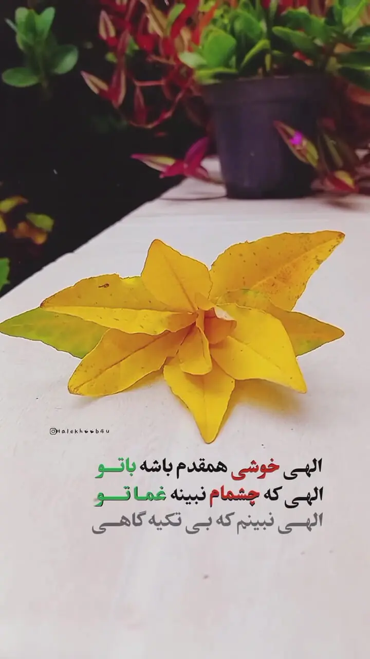 فال متولدین هر ماه در 16 مهر