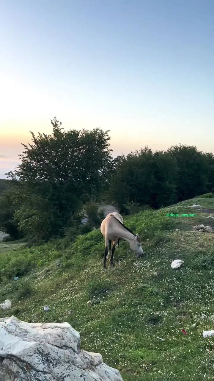 فیلم طبیعت بکر سرزمین دیلمان