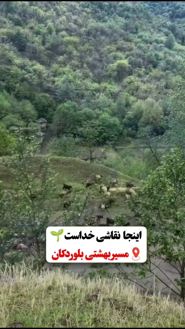 فیلم طبیعت بکر مسیر بلوردکان