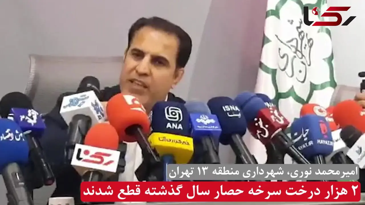 تا ۱۰ سال آینده هیچ درخت کاجی در سرخه‌حصار باقی نمی‌ماند / تاکنون ۲۰۰۰ کاج از این پارک جنگلی قطع شده است