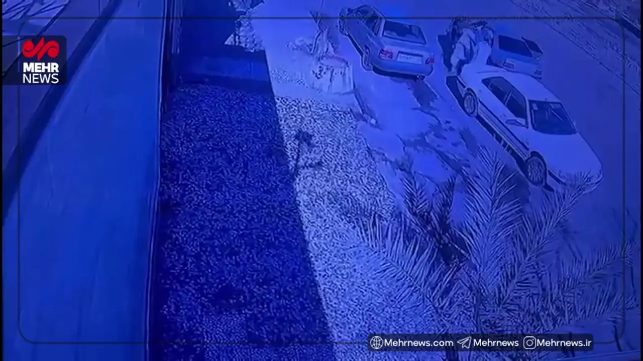 فیلم لحظه ربوده شدن پسر نماینده سابق زاهدان در مجلس / گروگانگیران مسلح تصادف ساختگی راه انداخته بودند