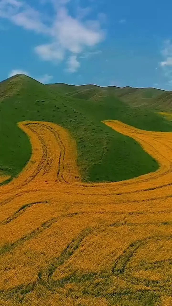 هارمونی رنگ ها در ترکمن صحرا + فیلم