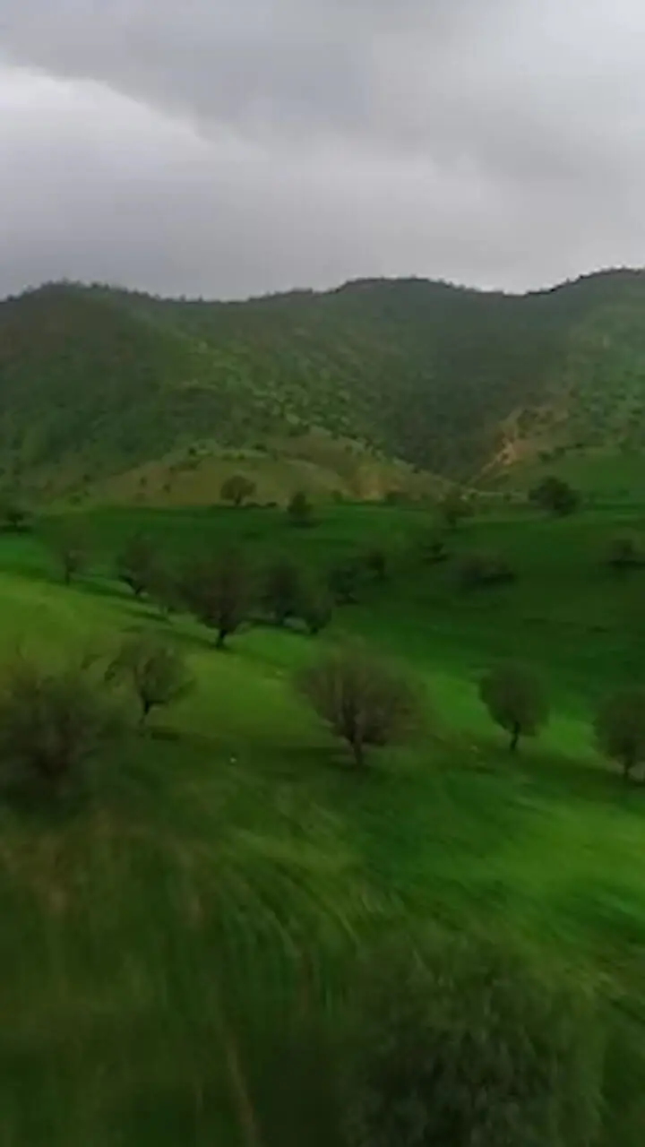 طبیعت سر سبز و زنده خوزستان + فیلم