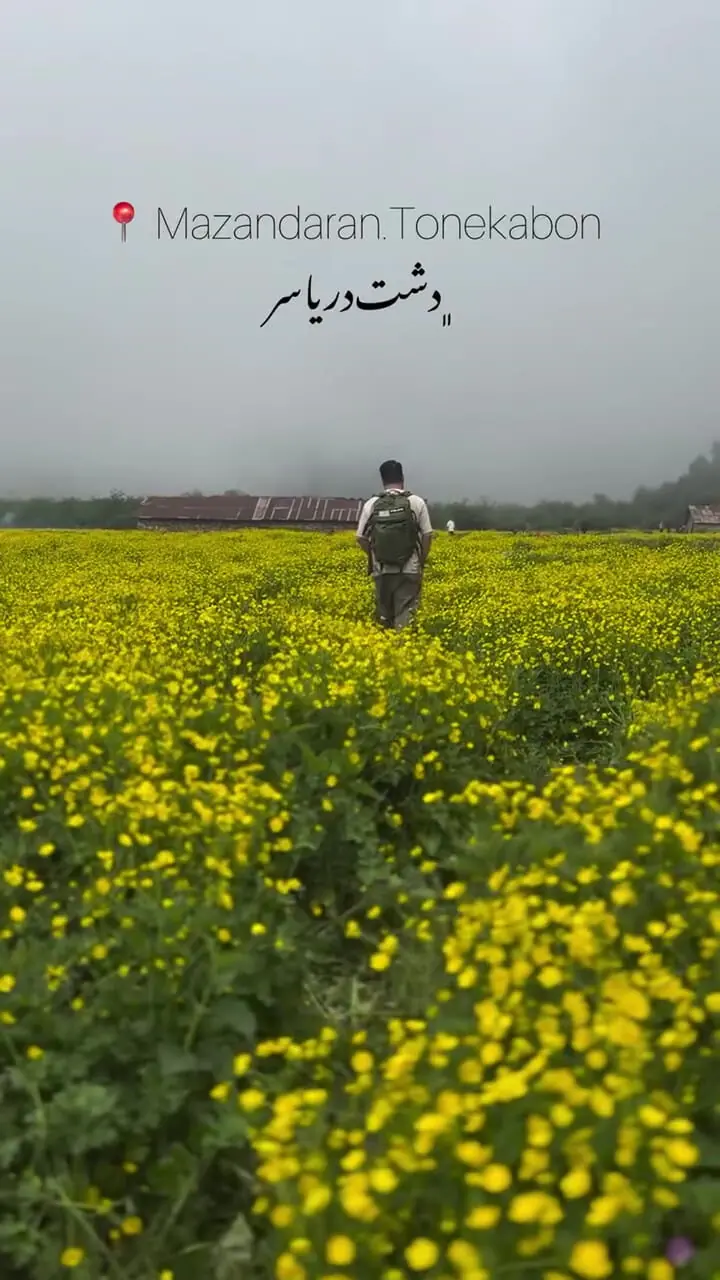 فیلم مناظر رویایی دشت دریاسر در تنکابن