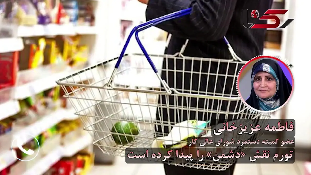 تورم نقش «دشمن» را پیدا کرده است / عزیزخانی :تاب آوری مردم به مرحله سقوط رسیده / خروج از بازار کار و کاهش اشتغال نسبت به سال‌های قبل نگران‌کننده است  + صوت