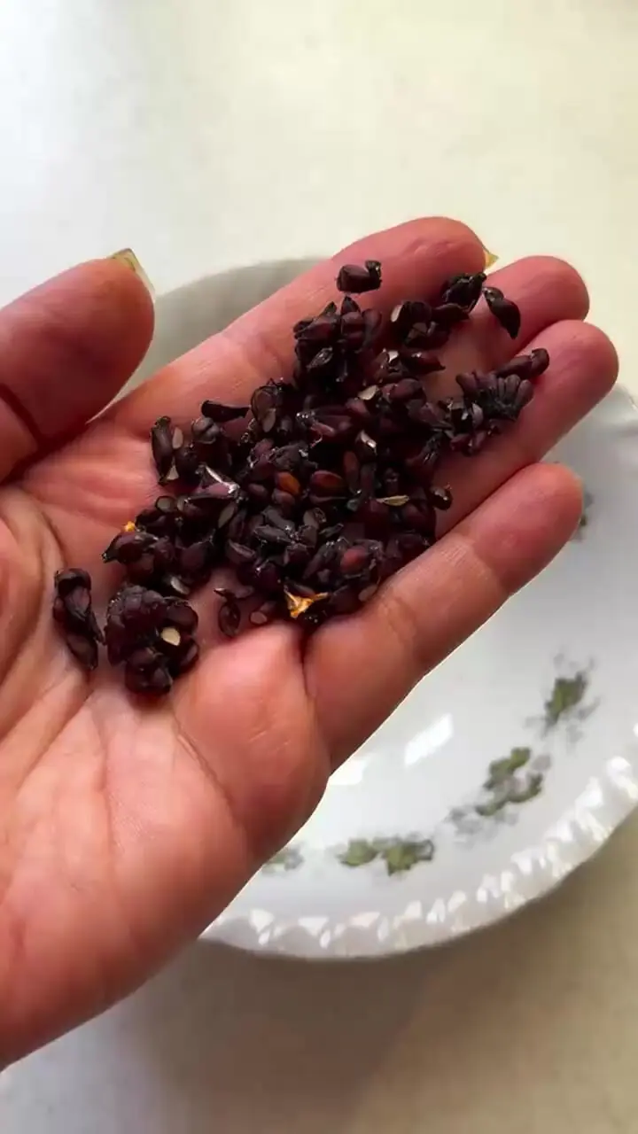 مربا به خوش عطر و خوشمزه + فیلم