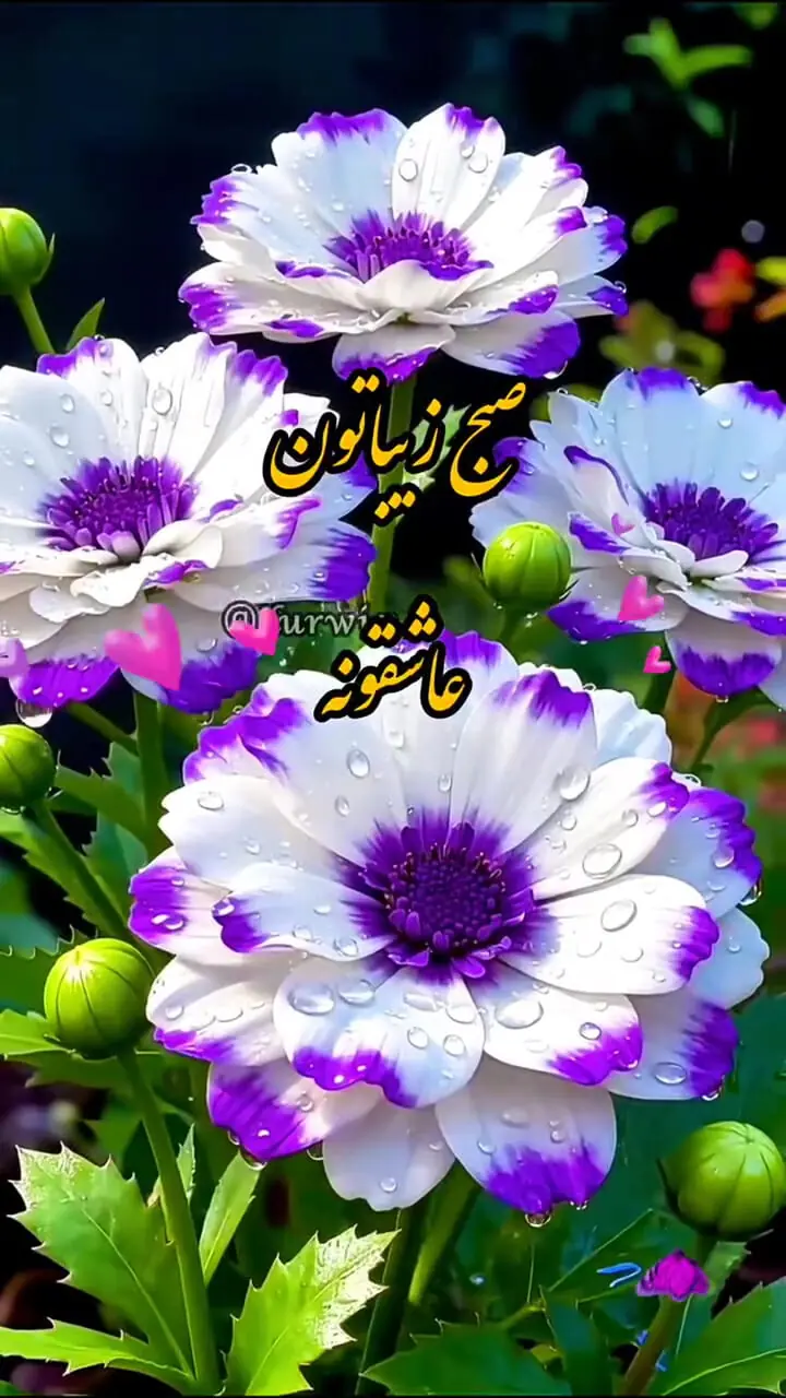 طالع بینی امروز 24 مهر