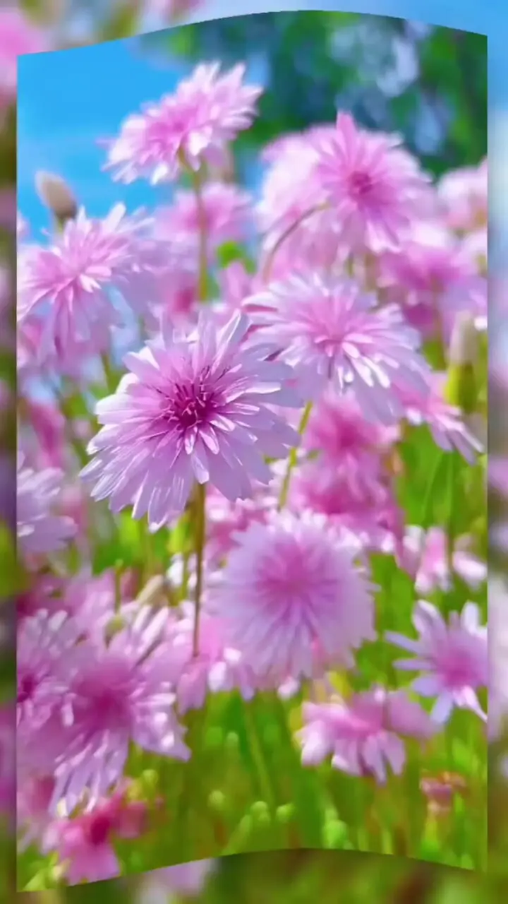 فال ابجد مخصوص 24 مهر