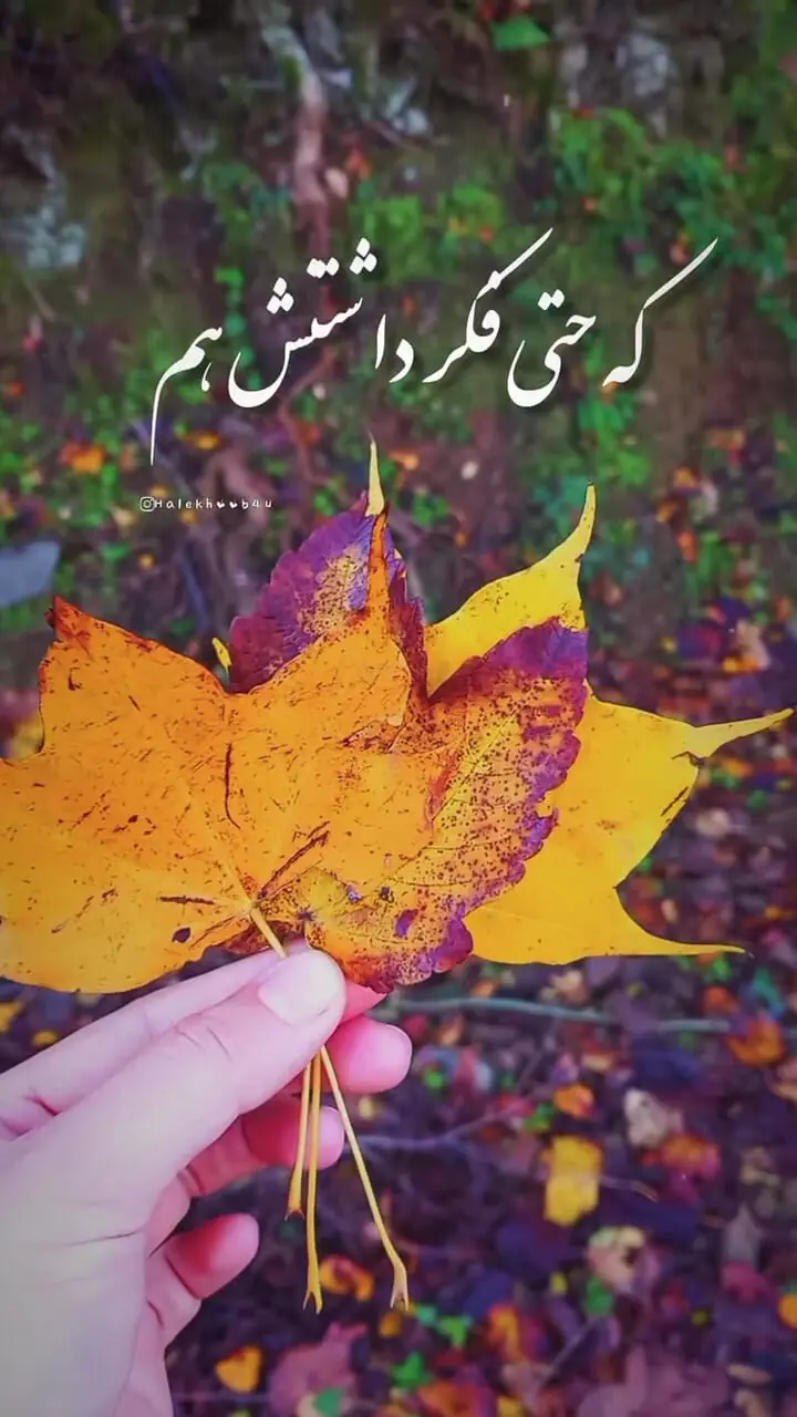 فال ابجد 25 مهر