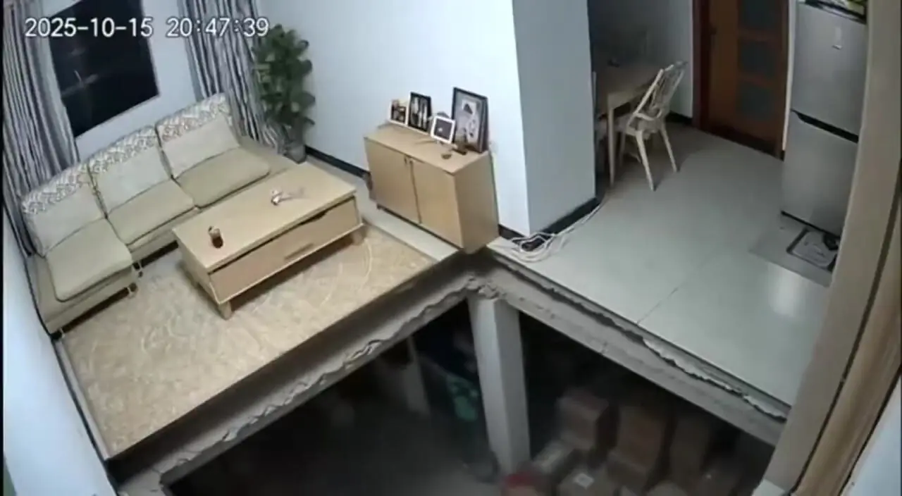 فیلم لحظه ریزش زمین زیر پای مرد در حین پریدن با گربه