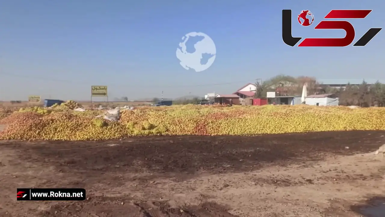 دریاچهای که تشنه مرد، تا سیبها سیراب بمانند/ الگوی کشت در ایران، قاتل است !