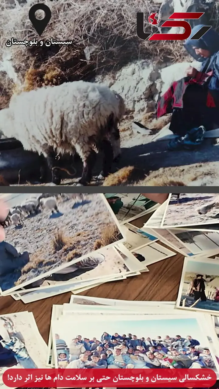 خشکسالی سیستان و بلوچستان حتی بر سلامت دام ها نیز اثر دارد! / عکاس سابق روزنامه ایران از تصاویر 25 سال پیش سخن می گوید + فیلم