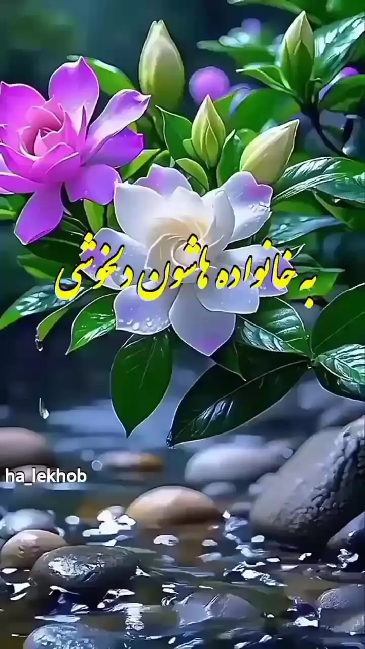 تعبیر فال ابجد 6 آبان ماه