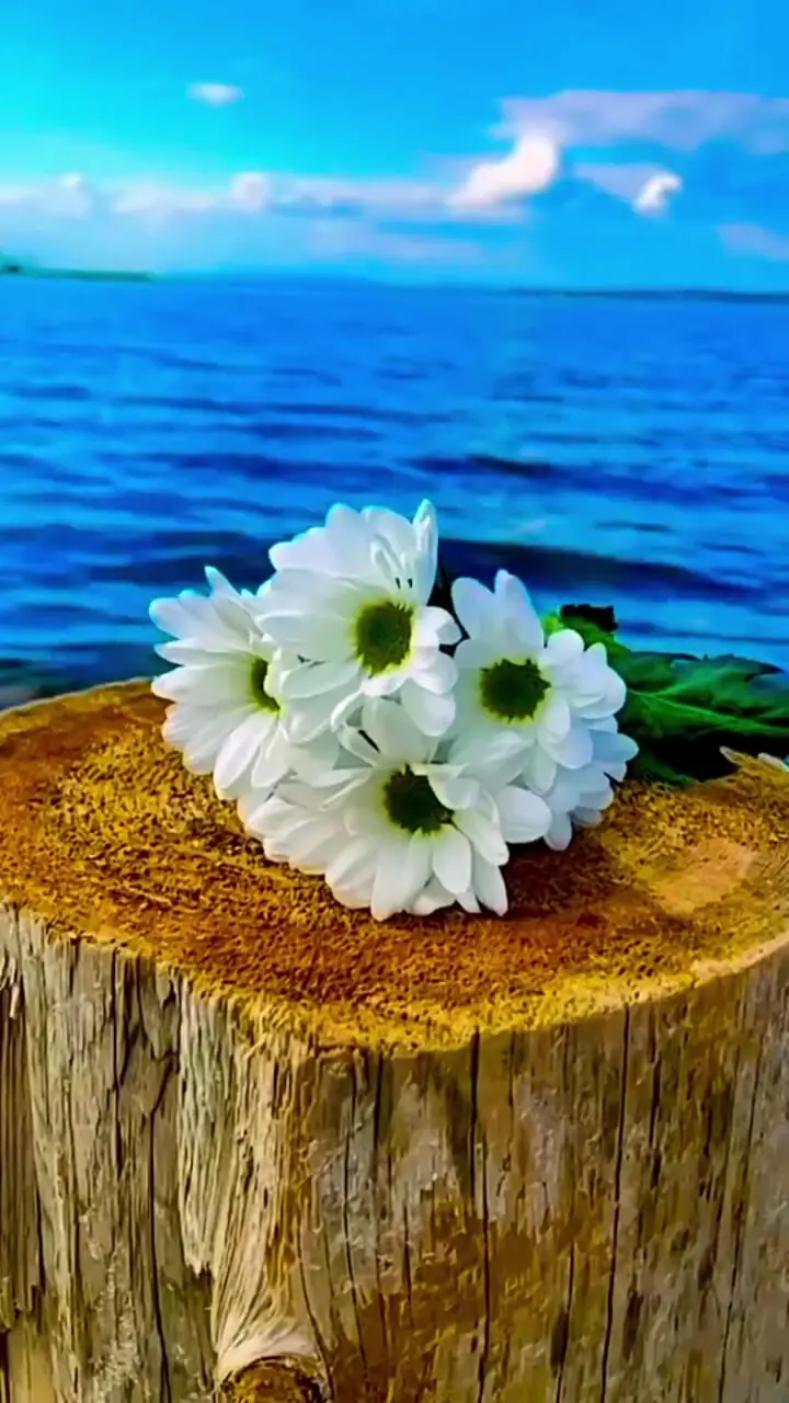 فال ابجد 7 آبان