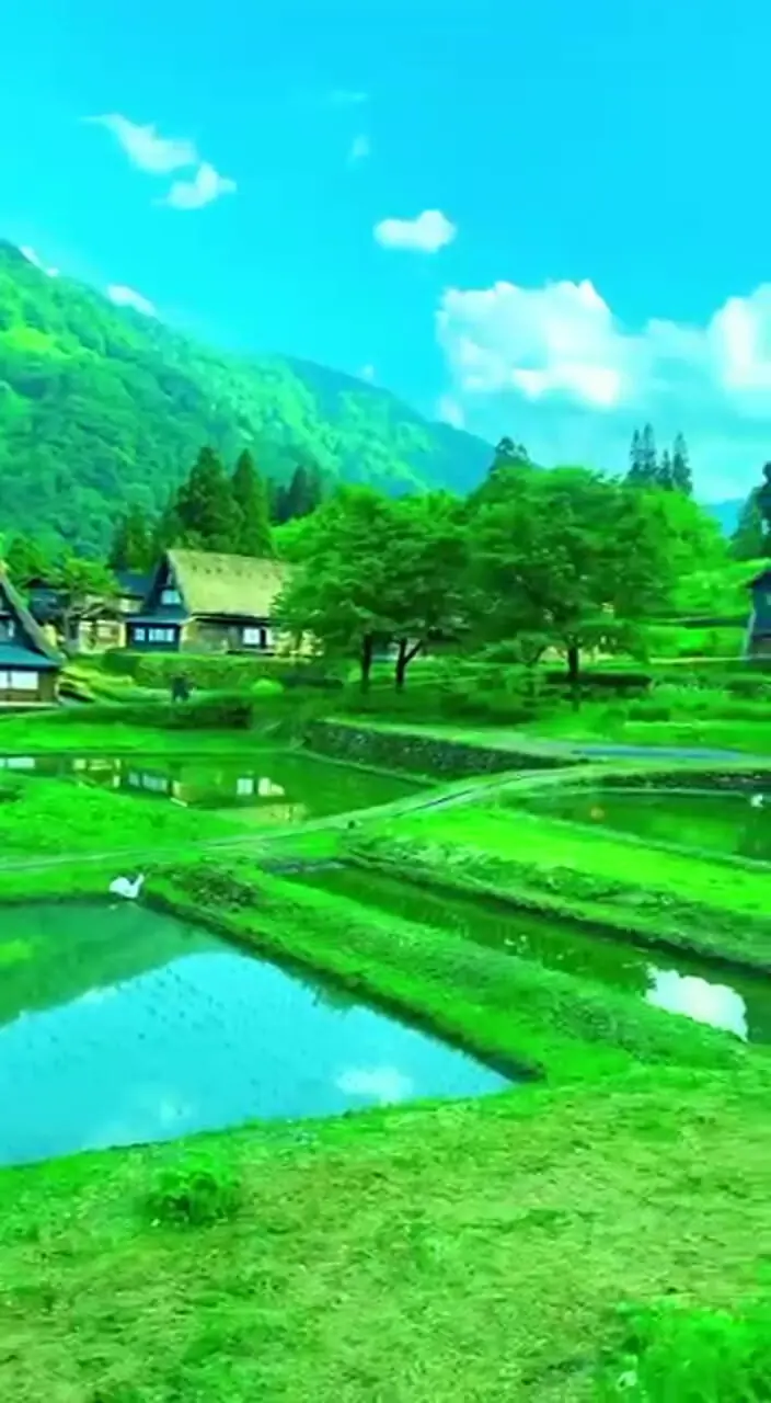 فیلم چشماندازهای بکر و سرسبز تویاما در ژاپن