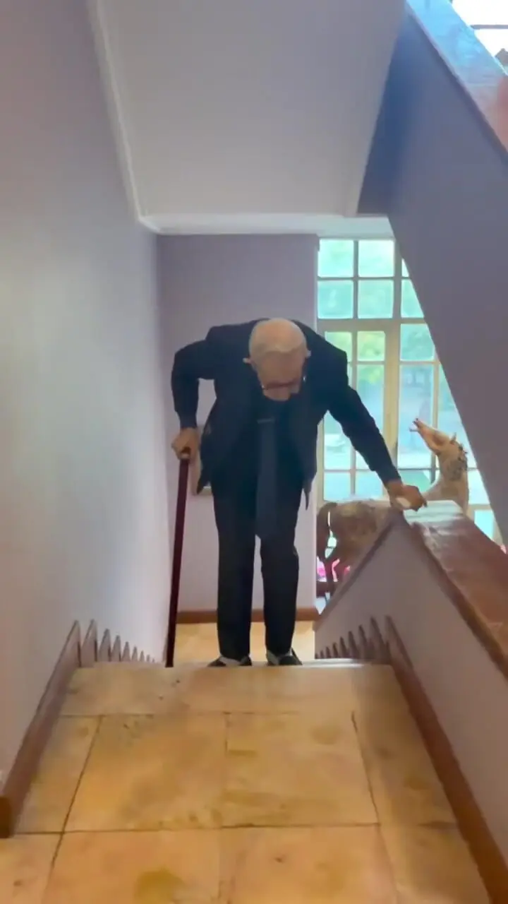 فیلم / نگاهی به تیپ و استایل هنرمندان حاضر در مراسم یادبود استاد ناصر تقوایی/ از مارال بنی آدم و علی سرابی تا سمیرا حسن پور و  پوران درخشنده تا تهمینه میلانی و ...