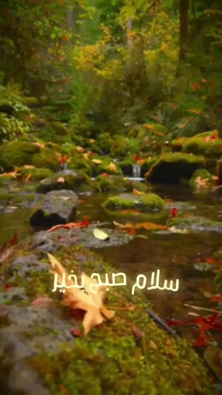 فال ابجد 8 آبان