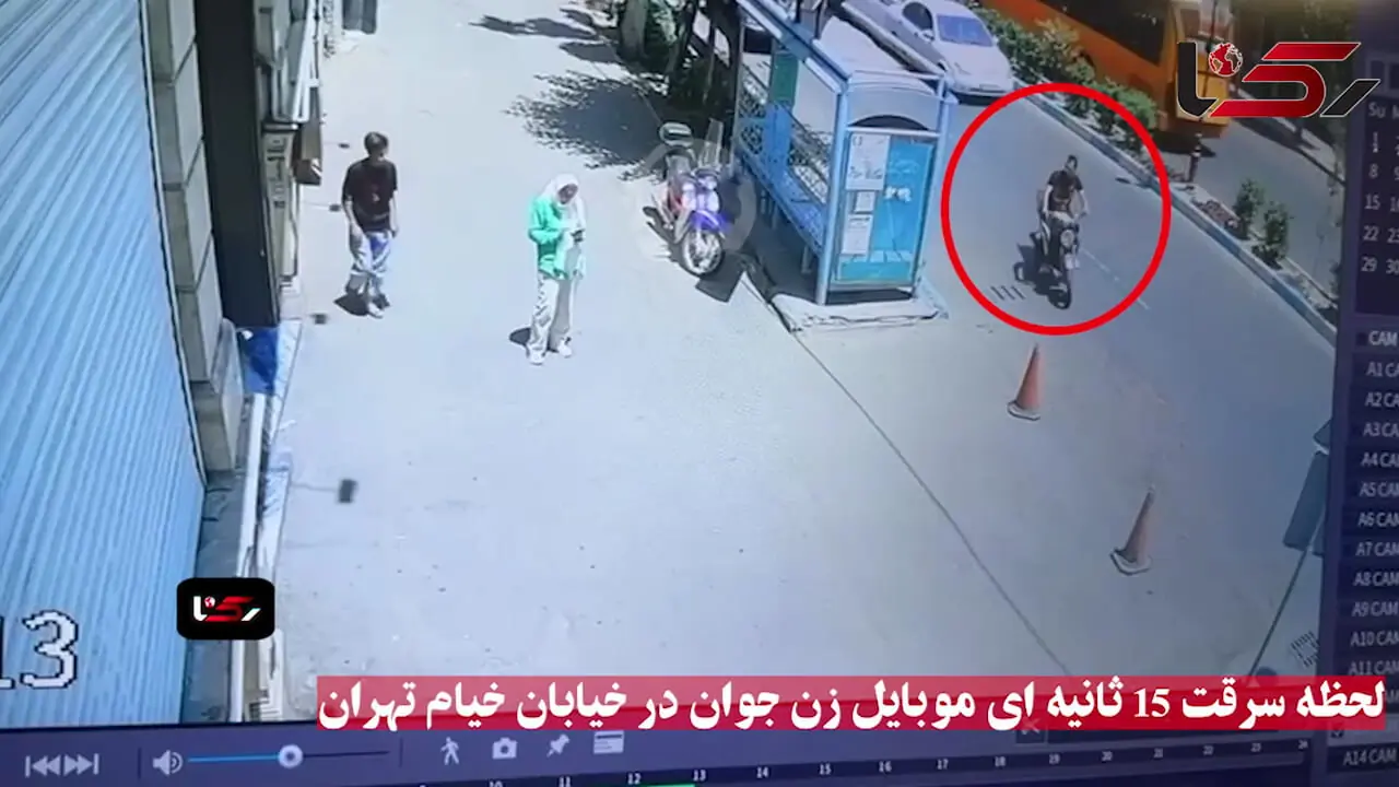 فیلم لحظه سرقت 15 ثانیه ای موبایل زن جوان تهرانی در خیابان خیام / پلیس در حال شناسایی سارقان است