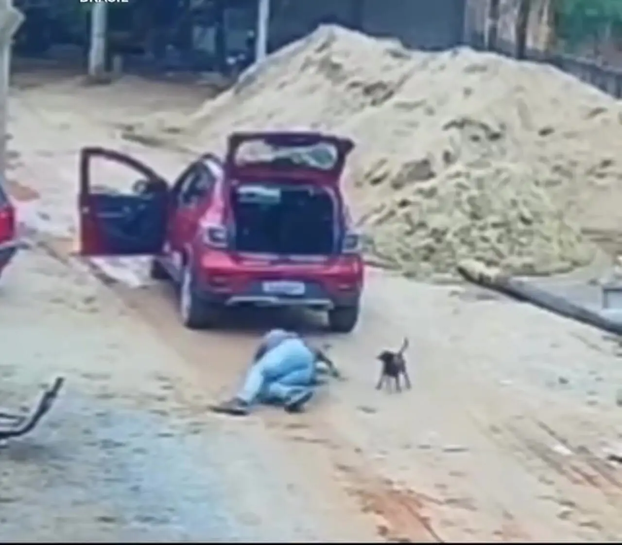 فیلم لحظه هولناک حمله سگ در خیابان به یک مرد 