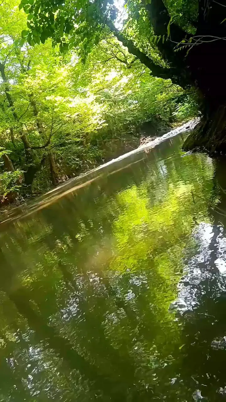 فیلم جریان زلال آب در سیاهرود گیلان