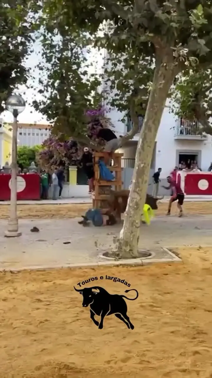 فیلم حمله گاو خشمگین به دو مرد در مسابقه گاوبازی