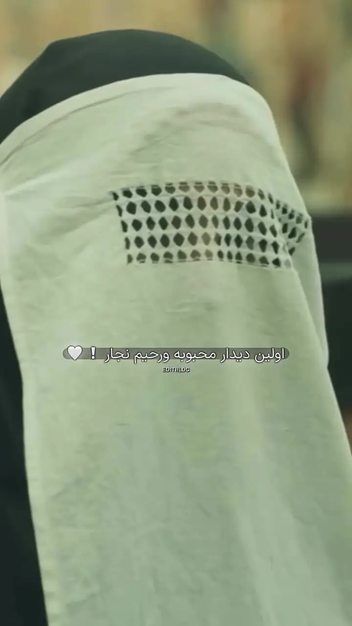 فیلم/ ترلان پروانه در این صحنه دلباخته شد /ببینید