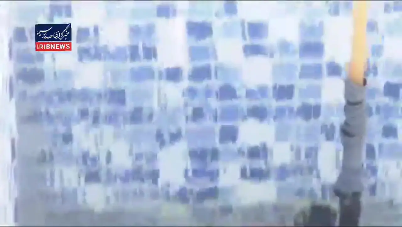 ۱۰ هزار درخت در چیتگر قطع شدند؛  علت بی آبی است یا خالص بودن جنگل؟ + فیلم