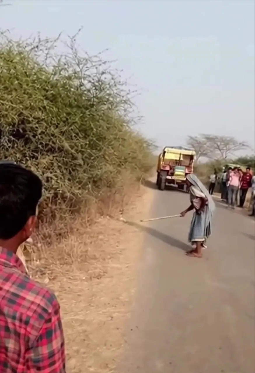 فیلم فراری دادن شیر نر توسط پیرزن شجاع در جاده