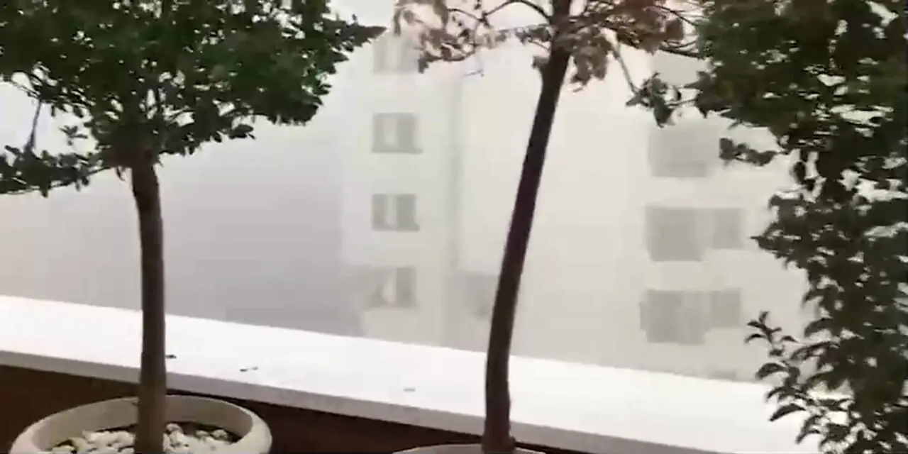 فیلم / نگاهی به چیدمان کاخ لوکس و بالکن پنت هاوس آزاده زارعی، بازیگر  «آوای باران» .../ خانه ای با ویوی ابدی در شمال تهران بالا شهرتر از فریبا نادری ....