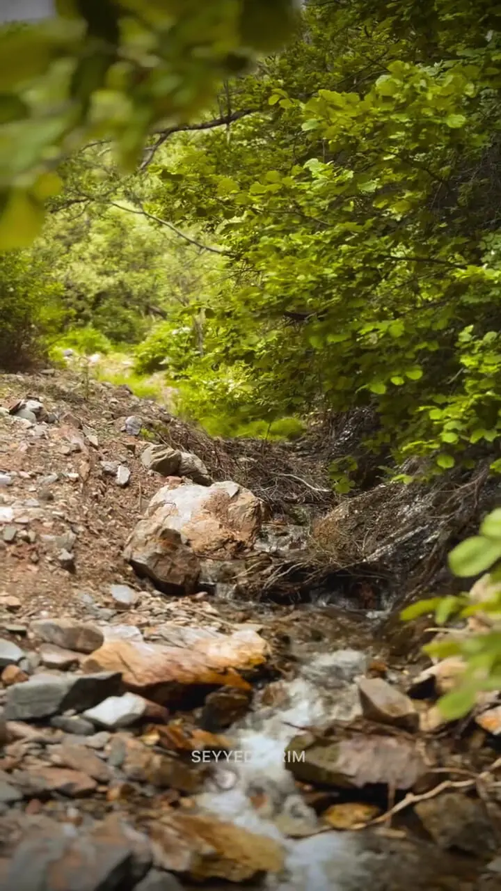 فیلم روستای توریستی فندقلو در میان جنگل‌های شمال