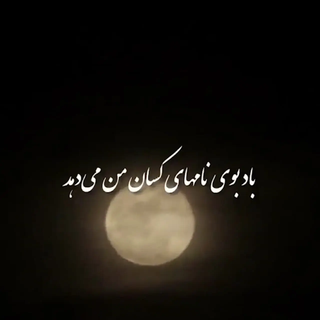 (ویدئو) یادی کنیم از دکلمه دلنشین و جگرسوز استاد خسرو شکیبایی از سید علی صالحی / حال همه ما خوب است اما تو باور نکن...