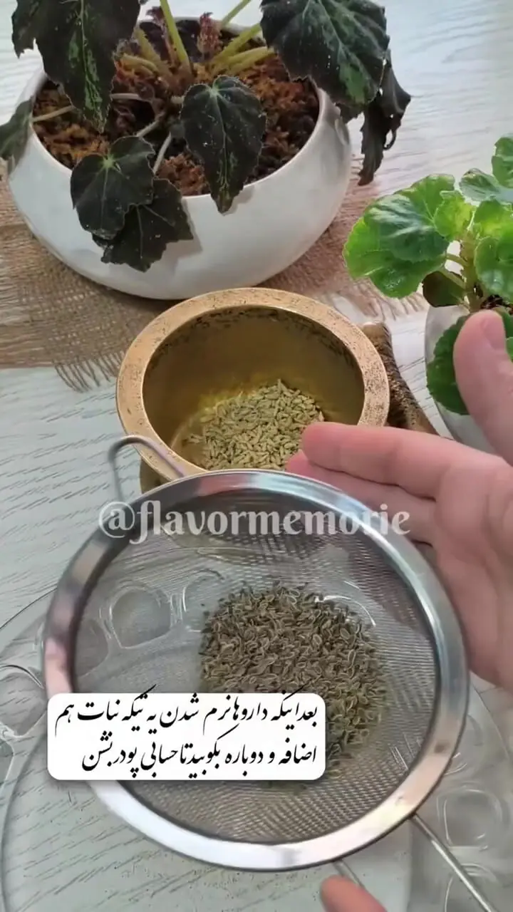 دستور تهیه داروی پرخاصیت از دل سیستان قدیم به اسم کپه ای