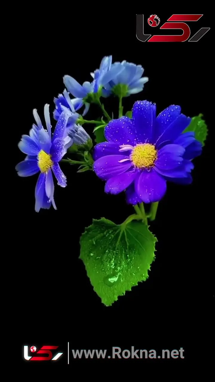 طالع بینی امروز 15 آبان