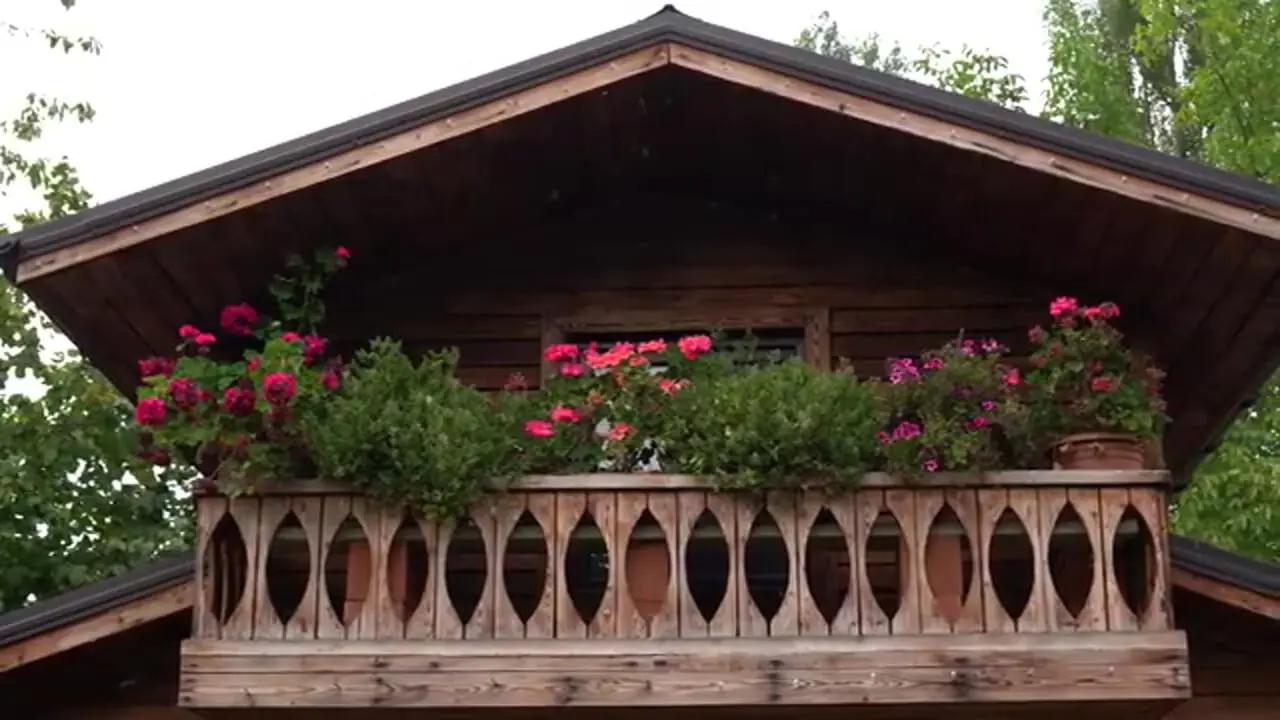 غذای سنتی آذربایجان؛ طرز تهیه مربا و کیک انجیری در دل طبیعت روستا