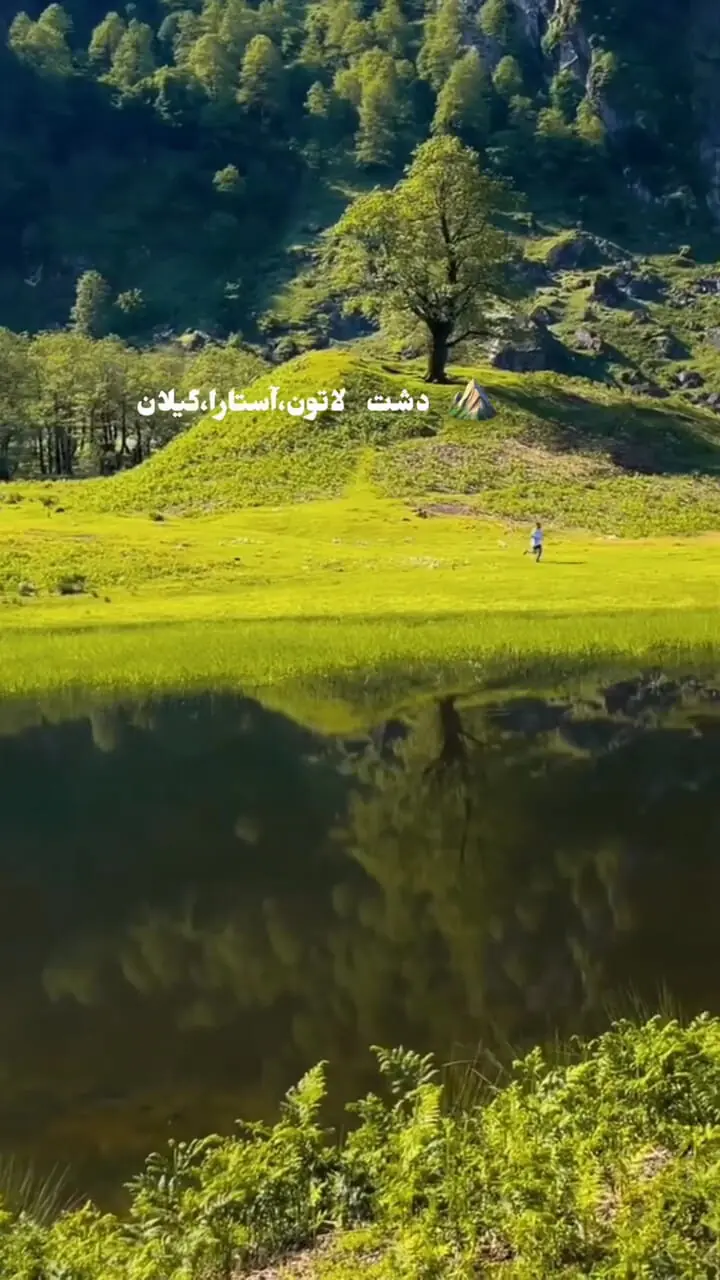 فیلم سرسبزی دشت لاتون آستارا 
