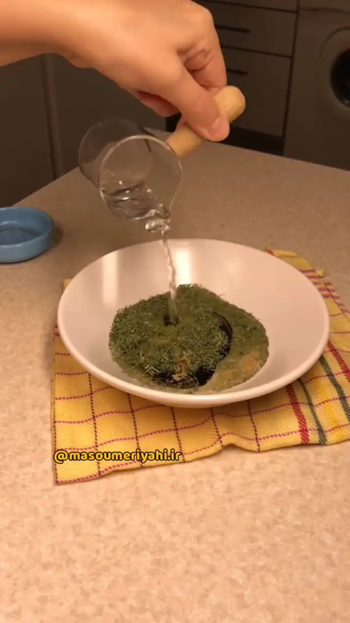 تربچه پرورده تا حالا خورده ای؟