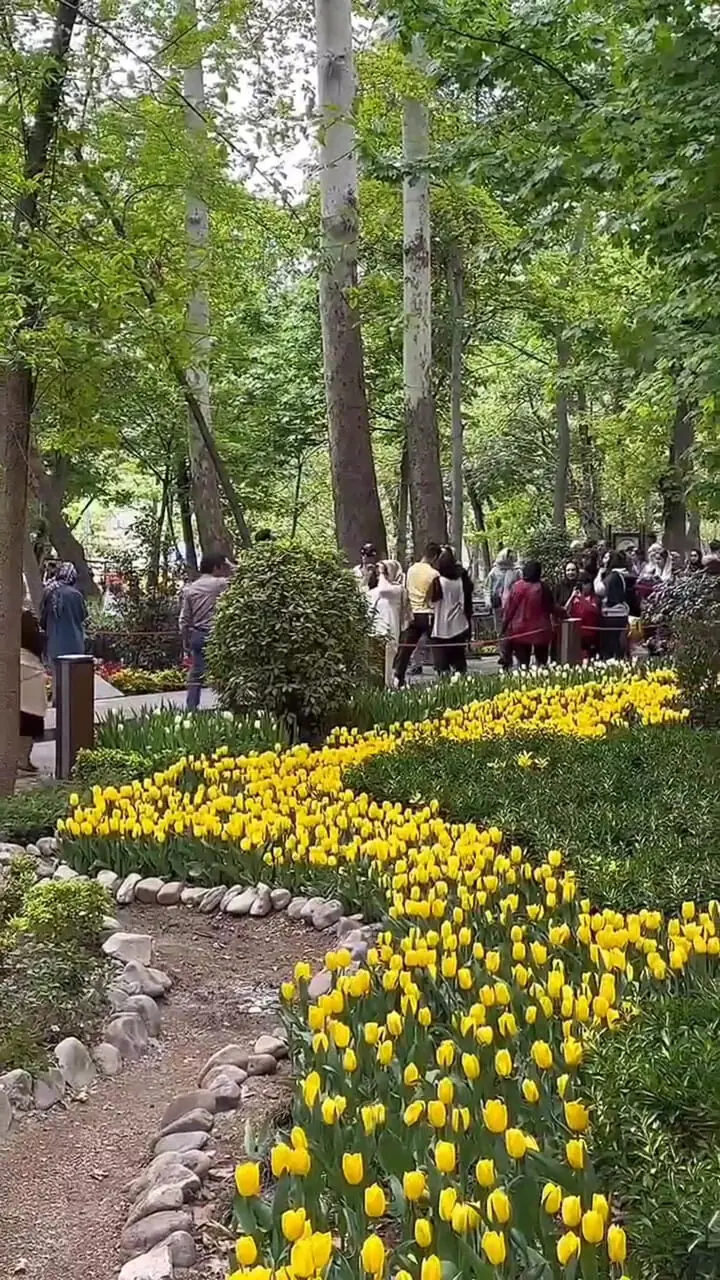 تفسیر فال حافظ امروز 18 آبان