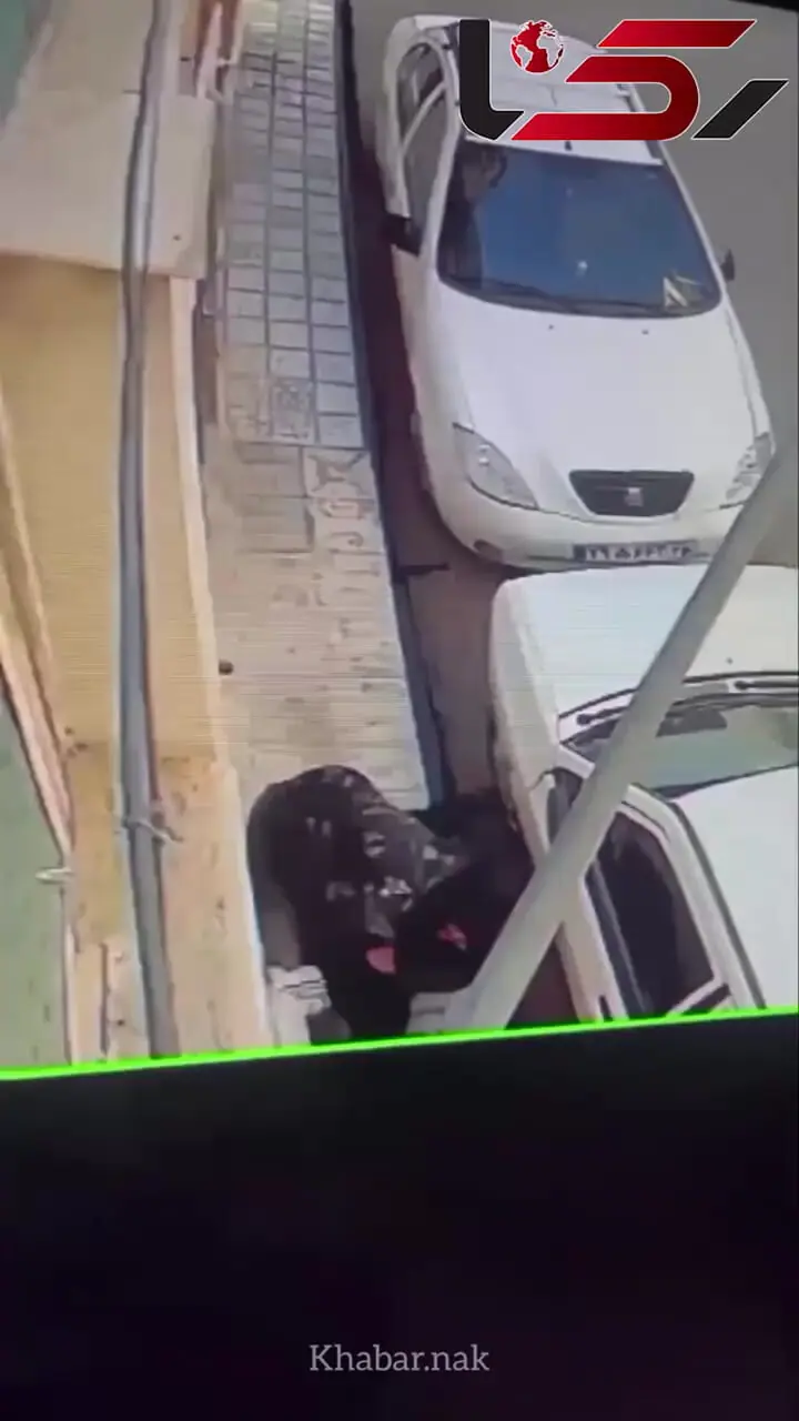 فیلم سرقت شوکآور از کودک / لحظهای که سارق بیرحم گوشی را از دستش قاپید!