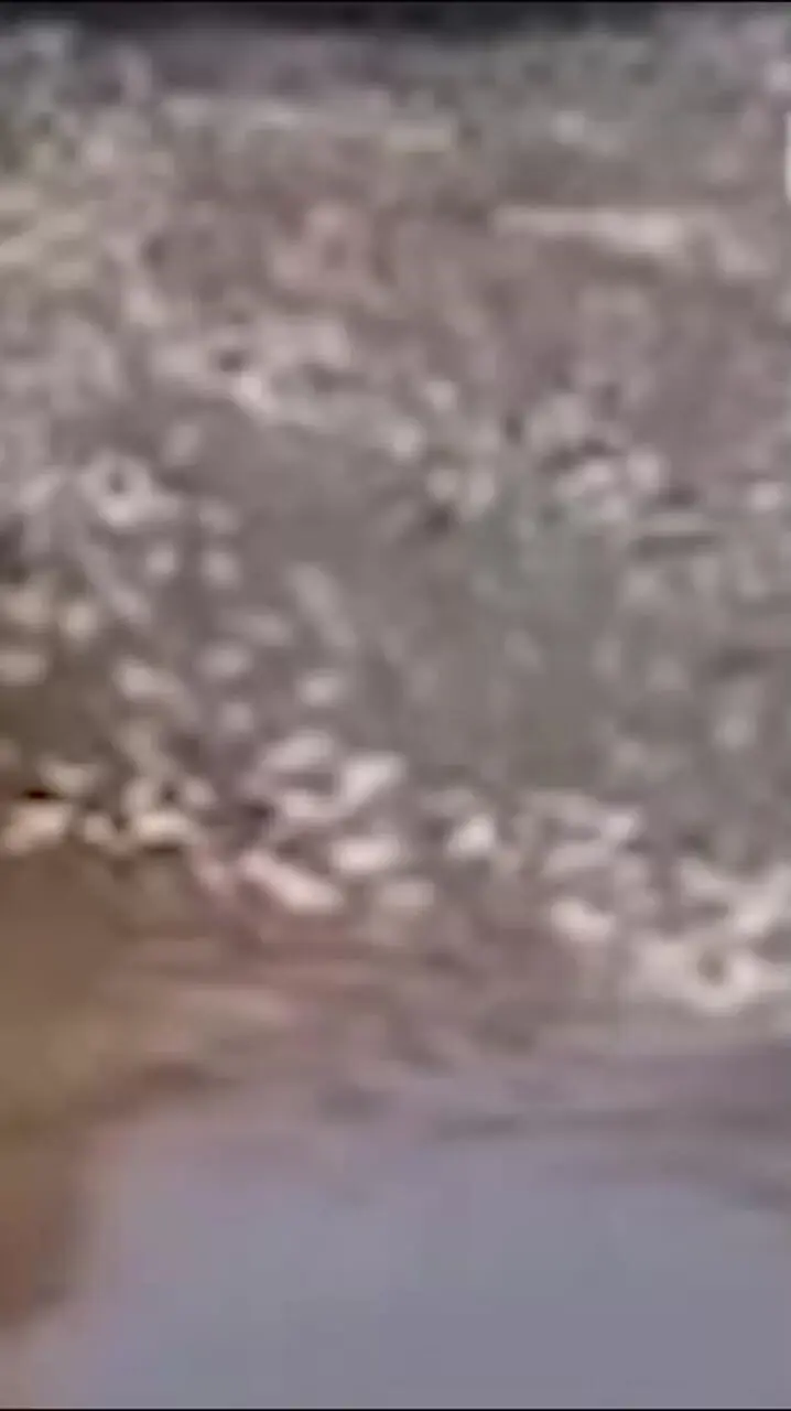 ورود مستقیم فاضلاب از چندین نقطه به رودخانه دز / این آب، منبع شرب مردم جنوب خوزستان و آبیاری صیفی جات دزفول است ! + فیلم