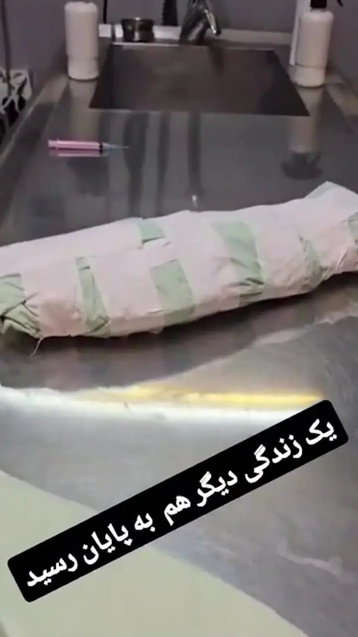 مازیار لرستانی عزادار شد/ یک زندگی دیگه هم به پایان رسید