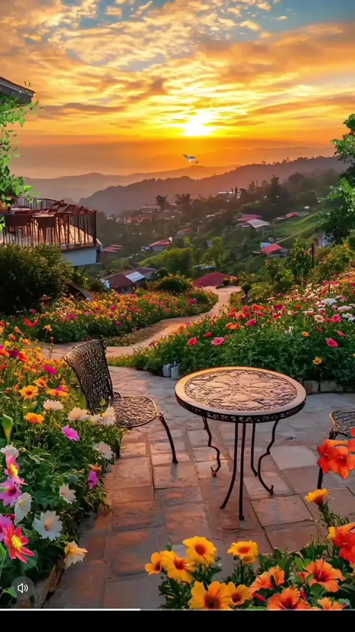 فال و طالع بینی امروز 20 آبان