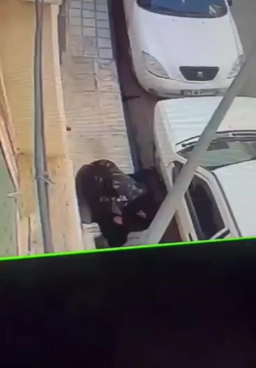 فیلم سرقت موبایل با ساطور در مشهد / هشدار پلیس به قداره کش ها : در برخورد با زورگیران رحم نمیکنیم