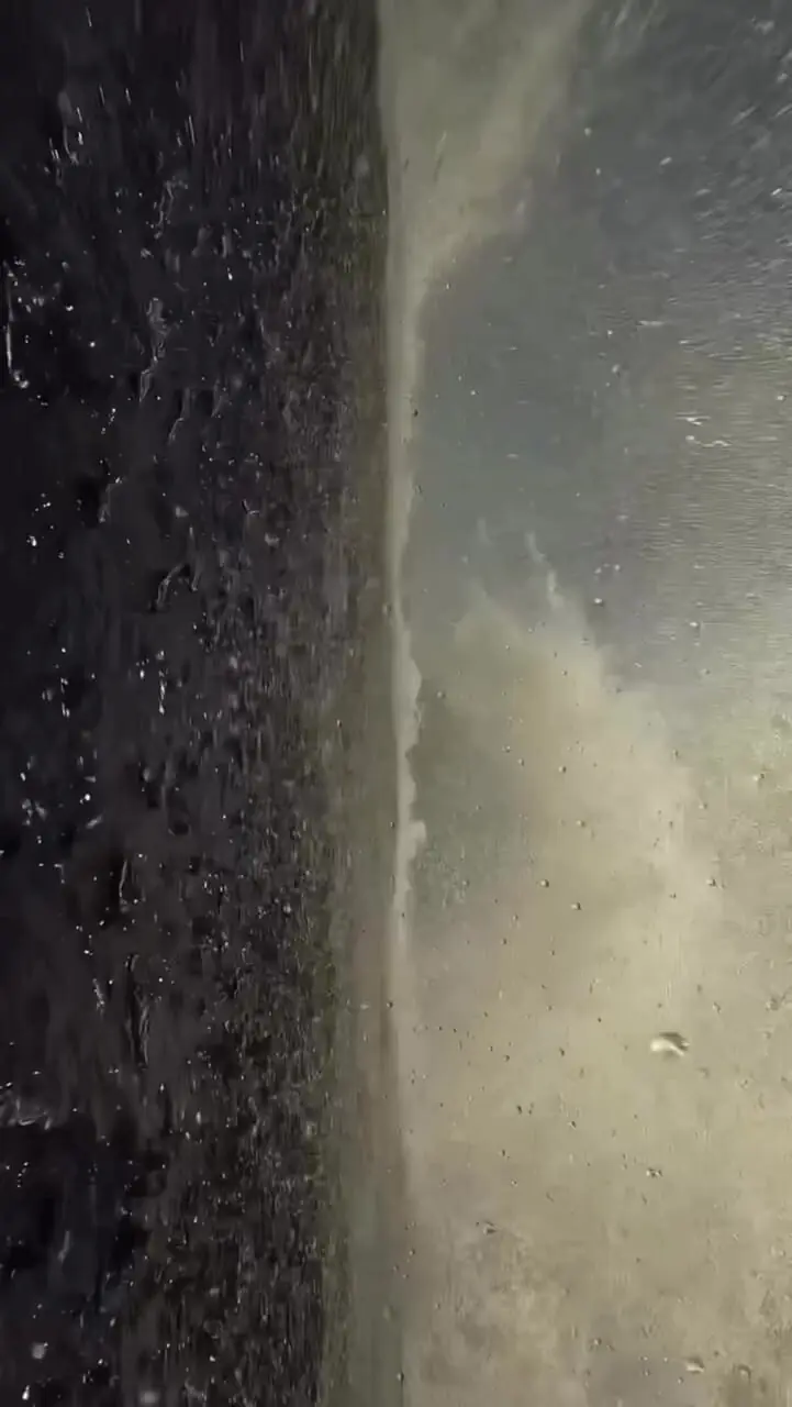 فیلم پرش دیدنی نهنگ بزرگ از آب