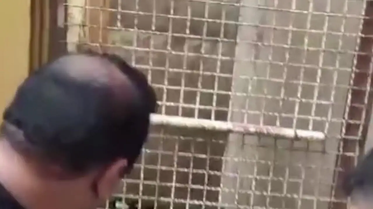 صفر تا صد ماجرای برق گرفتگی دانش آموز لنگرودی / وضعیت وی همچنان ناپدار است