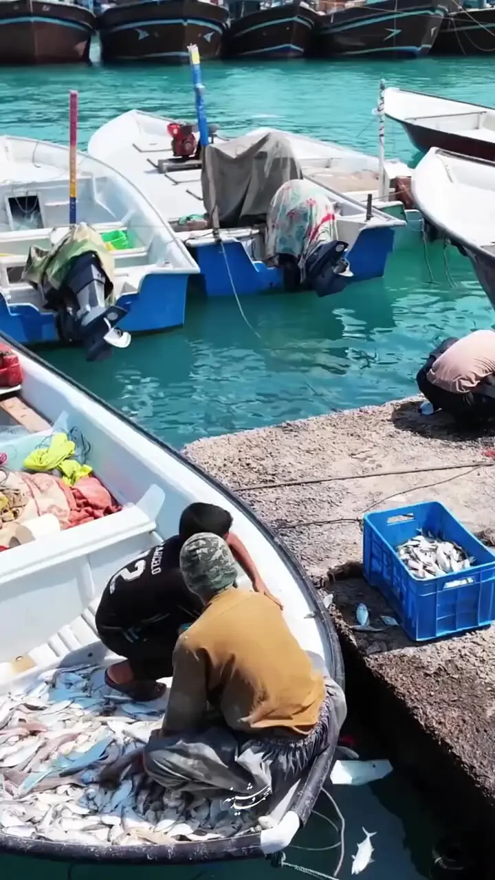 فیلم وایرال شده از ماهی گیران سیستان و بلوچستان