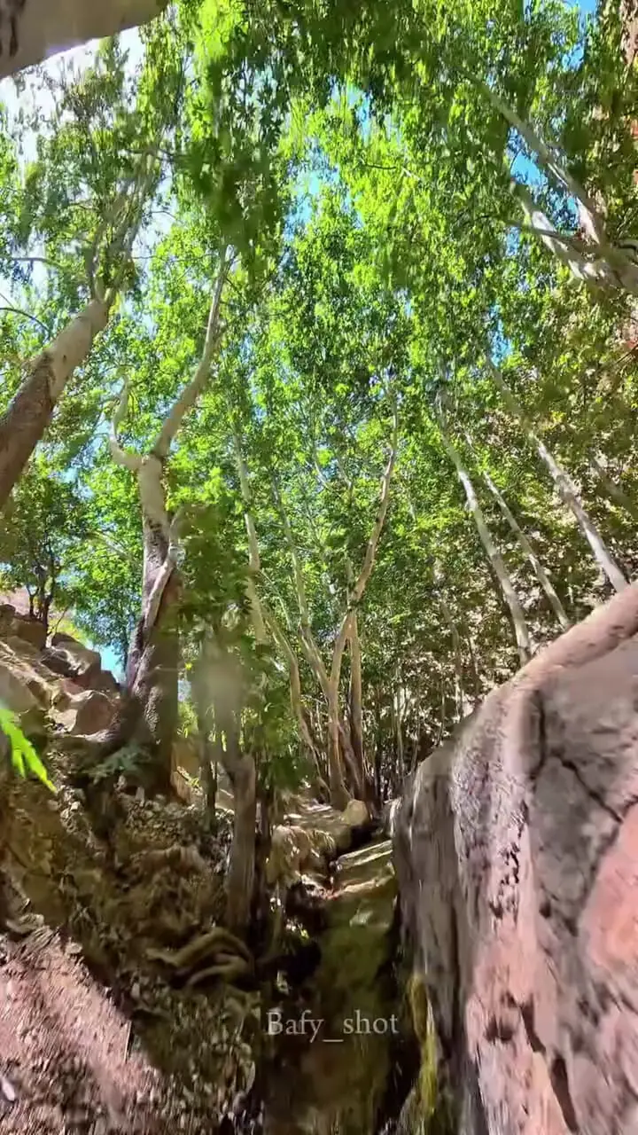 فیلم طبیعت زیبای چشمه قهری استهبان 