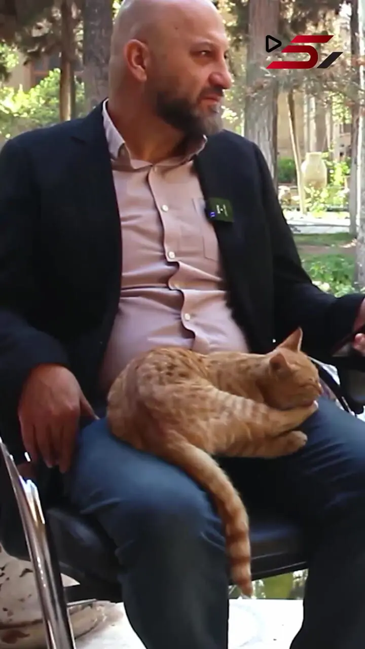 فیلم / گربه بازیگوش وسط مصاحبه با شهردار سابق تهران / گربهٔ باغ نگارستان ناگهان پرید بغل حناچی و مجری برنامه رک 